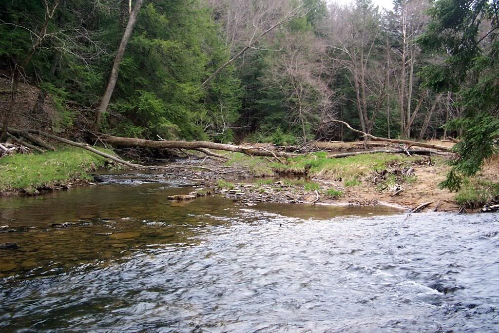 Tionesta Trout Streams FishUSA Forums